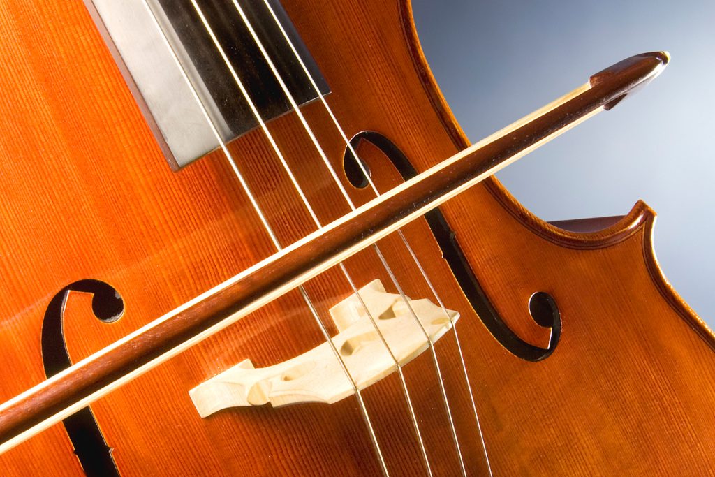 Violin Lessons in Bexley, Ohio 43209 violin lessons for beginners