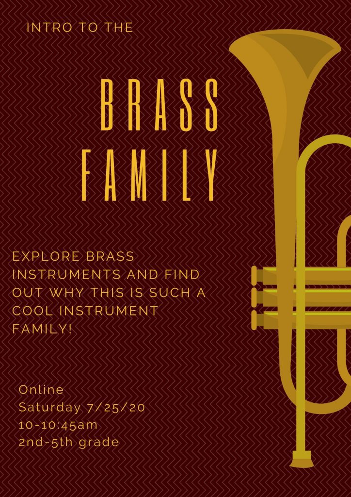 Music Piano Violin Viola Bass Cello Strings Singing Voice Guitar Ukulele Brass Trumpet Euphonium Woodwinds Oboe Flute Saxophone Clarinet Drums Percussion Lessons Classes Teachers Instructors Online Virtual Columbus, OH Bexley, OH