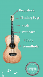anatomy of a guitar