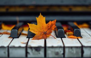 Home 28 a single autumn leaf resting on piano keys free photo A Musical Life Podcast Episode 23, Music Lessons